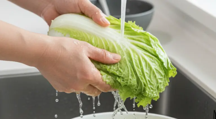 씻고 있는 배추