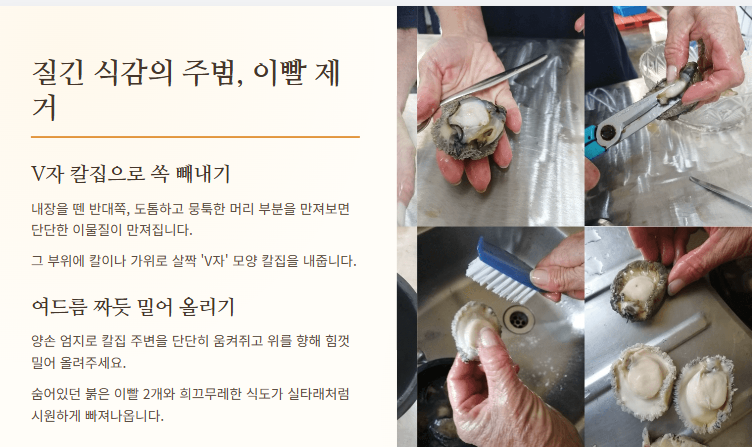 전복 손질하는법