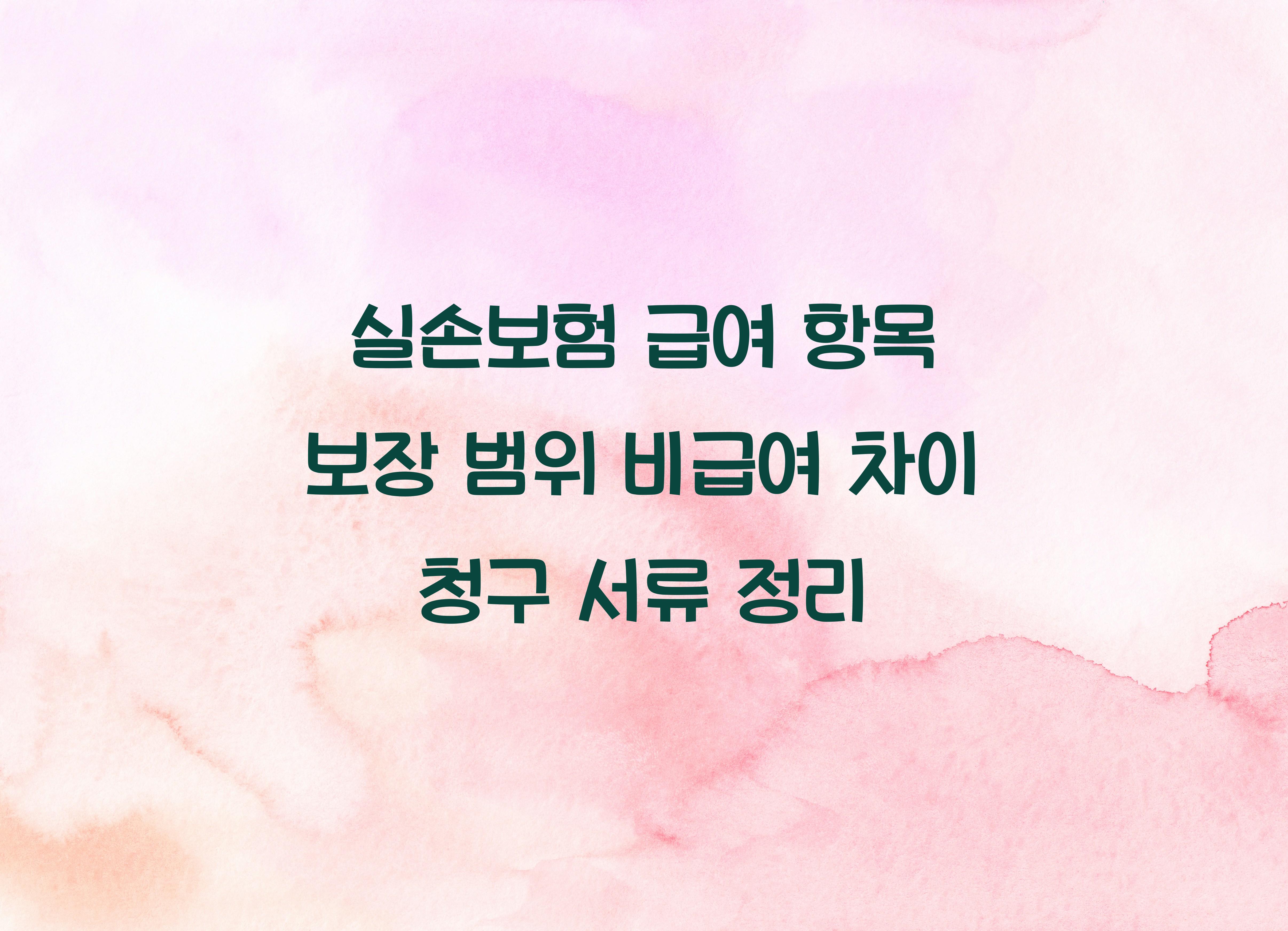 실손보험 급여 항목