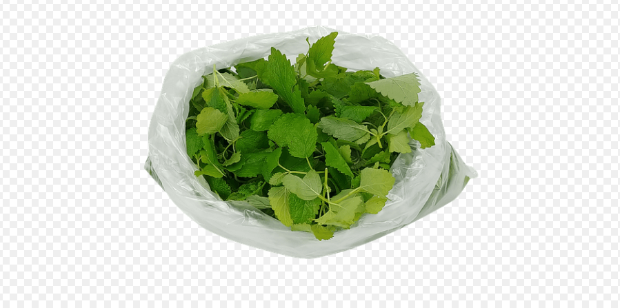 레몬 밤 잎이 비닐 봉지에 담겨 있다