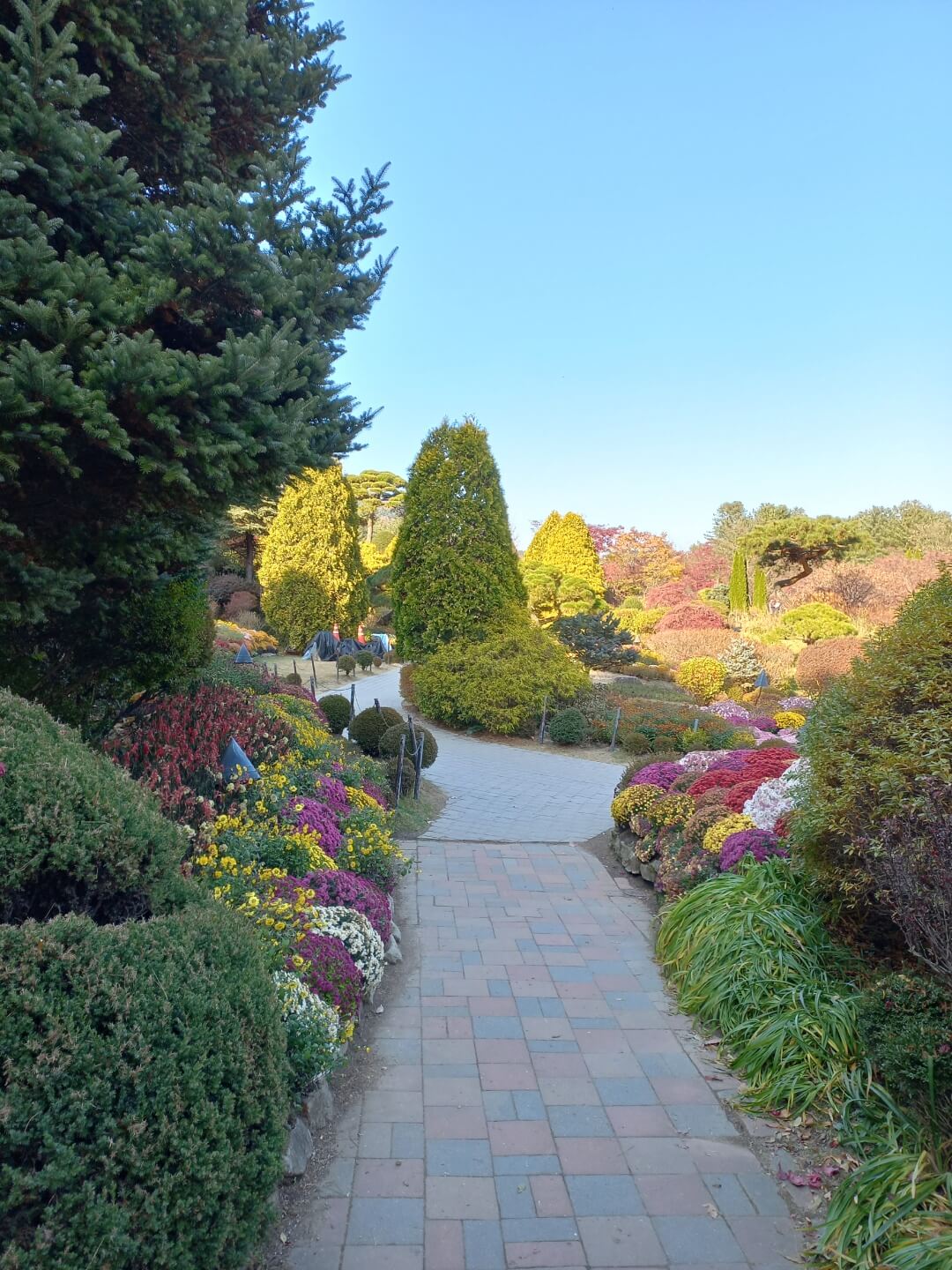 가평시티투어버스 시간표