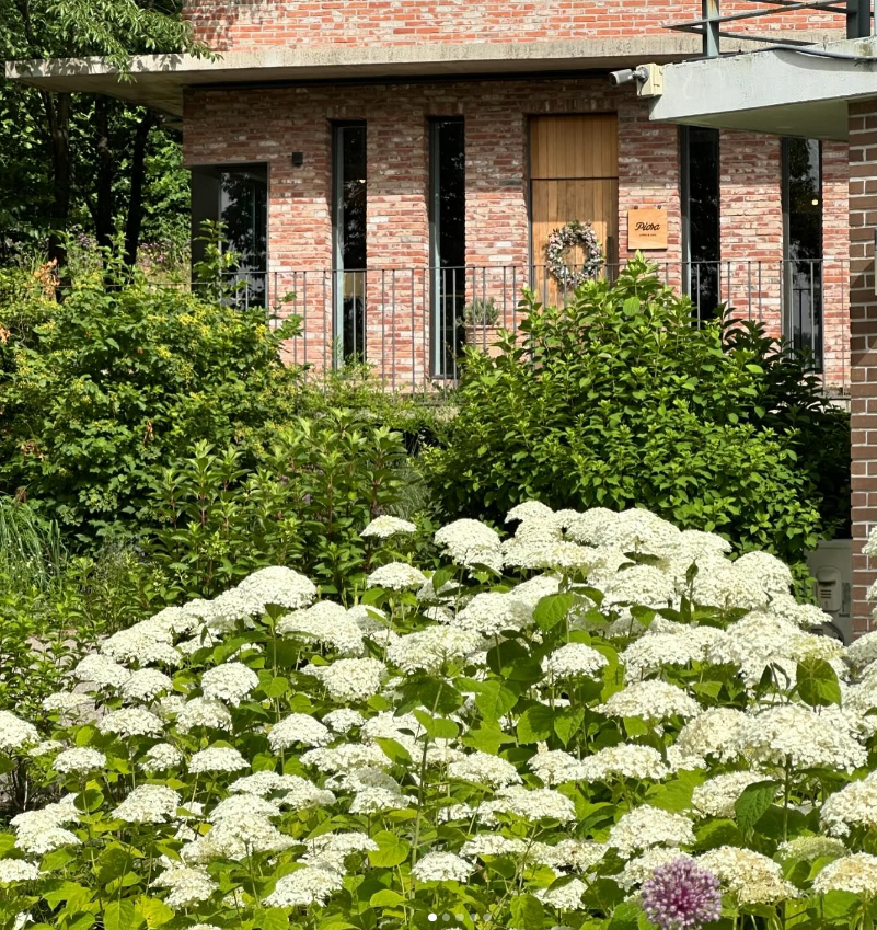 충남 당진 평양냉면 맛집 미당면옥, 블루리본 정원 카페 피어라: 아미미술관 근처 맛집