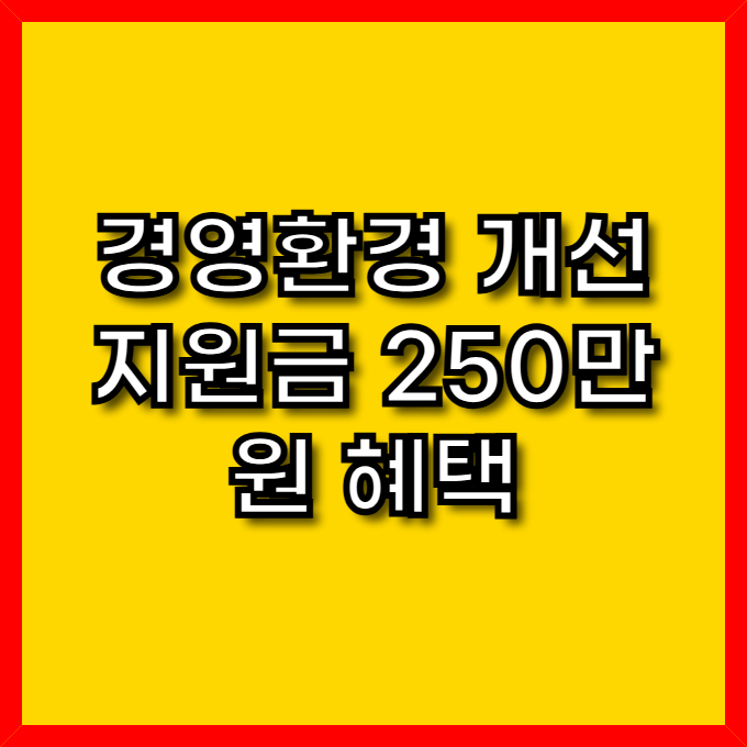 경영환경개선 지원금