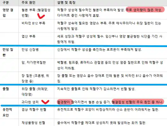 빈혈이 생기는 주요 원인