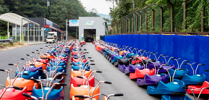 강원도 고랭지 토마토의 매력! 2025 둔내 고랭지 토마토축제