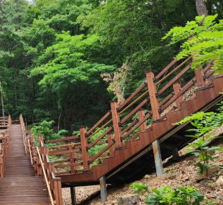 숲나들e 무봉산 자연휴양림 국내 여행지 추천 관련사진