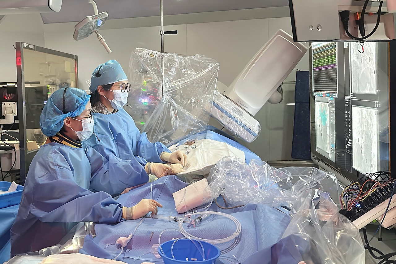 부정맥-심방세동-펄스장-절제술-시술-비용-병원-명의