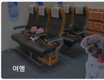 2024 메가주 일산