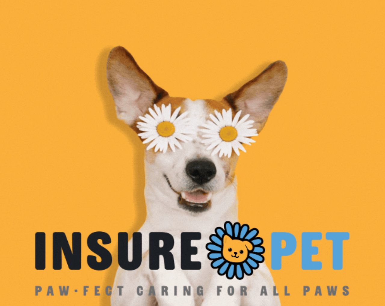 펫보험 추천 비교 사이트