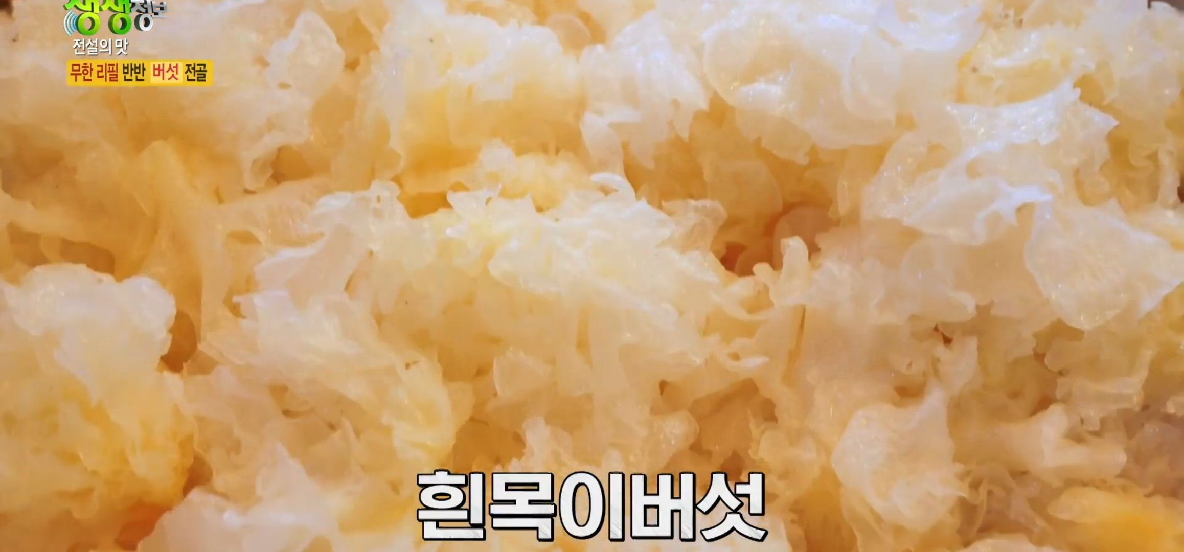 흰목이버섯