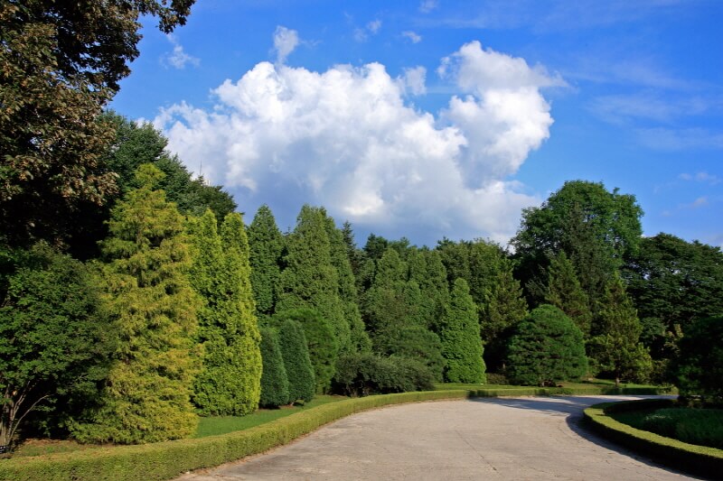 포천 국립수목원 광릉수목원 예약