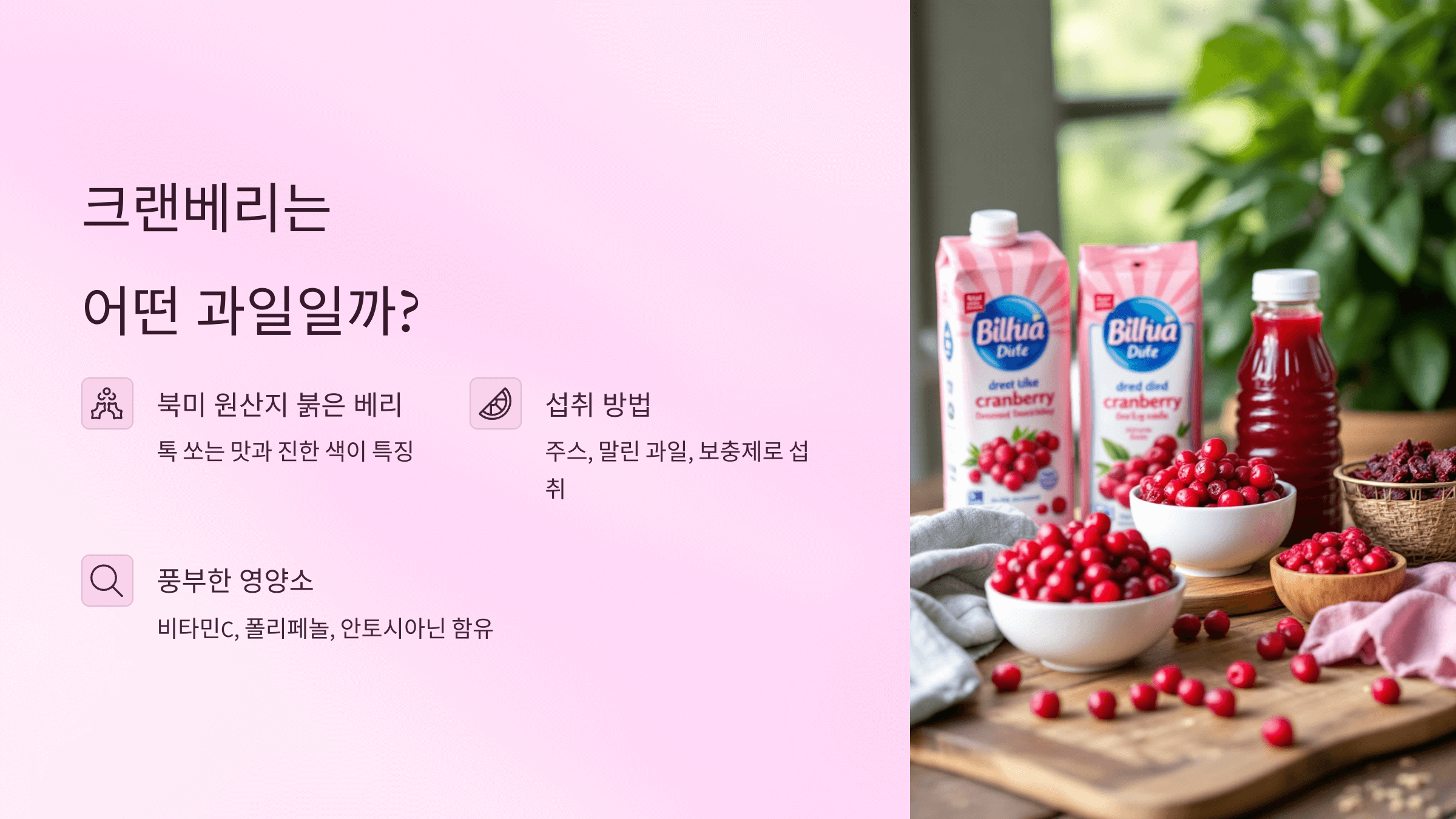 크랜베리 사진입니다.