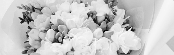 프리지아 꽃말: 분홍색 (핑크색)