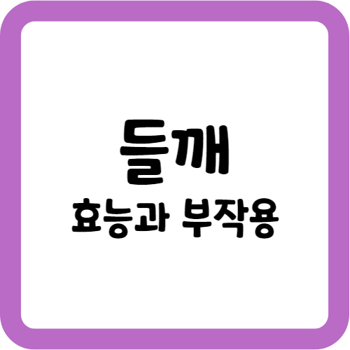 들깨의 효능과 부작용