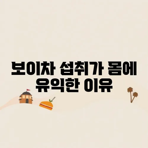보이차 섭취가 몸에 유익한 이유