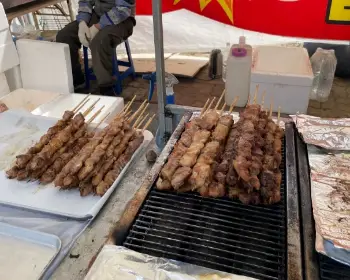 서천 동백꽃 주꾸미 축제_24