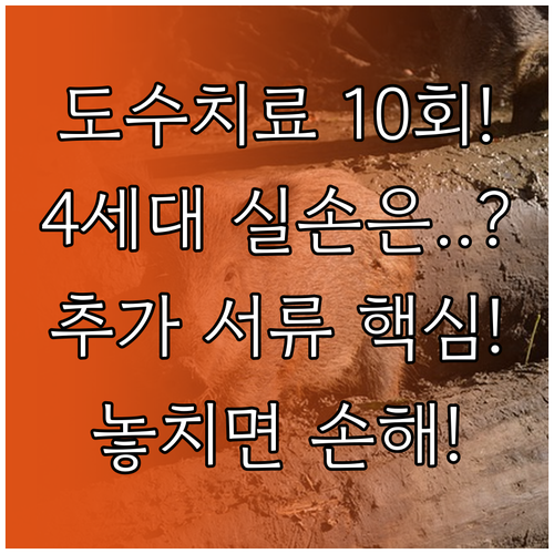 도수치료 10회 초과 청구 시 4세대..