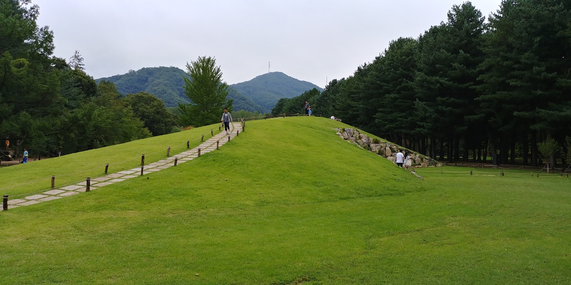 남이섬에 있는 푸른 동산의 모습