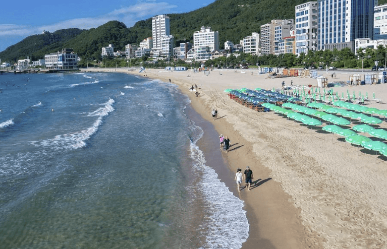 해수욕장 개장일정