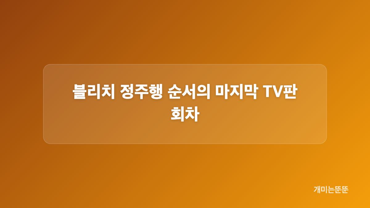 블리치 애니 순서에서 외전과 본편 구분하기