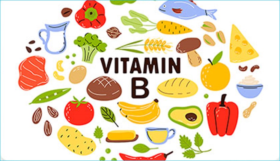 비타민B군