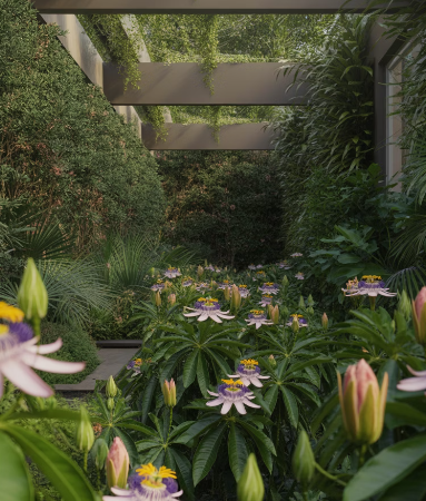 파비플로라 효능