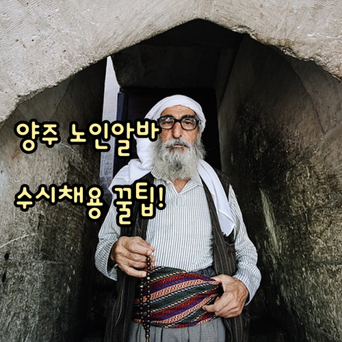 양주시 시니어클럽 노인일자리 유형과 ..