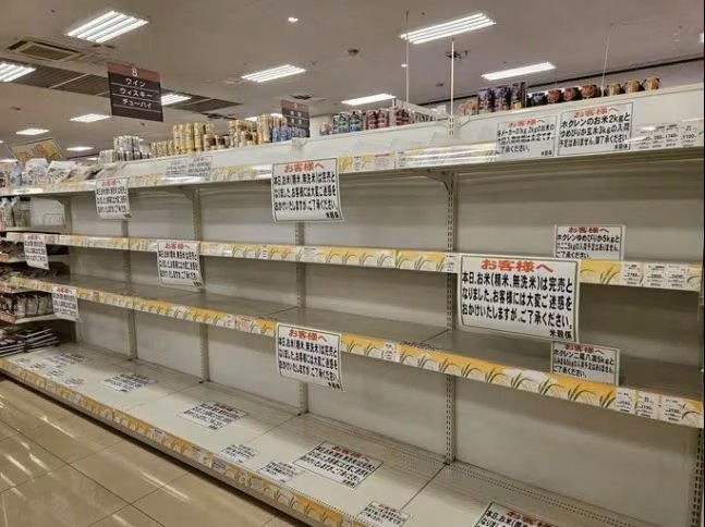 쌀이 전부 비어있는 매대