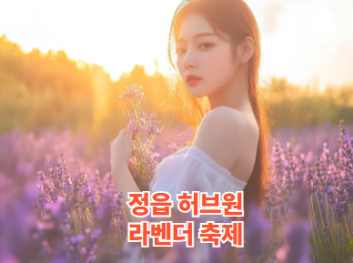 2025 정읍 허브원 라벤더 축제