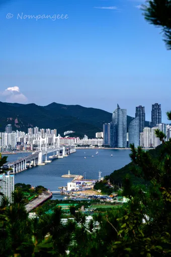 부산 가볼만한곳 베스트10 여행 놀거리 맛집_11