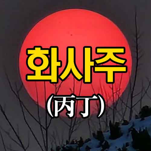 화사주 - 병 정