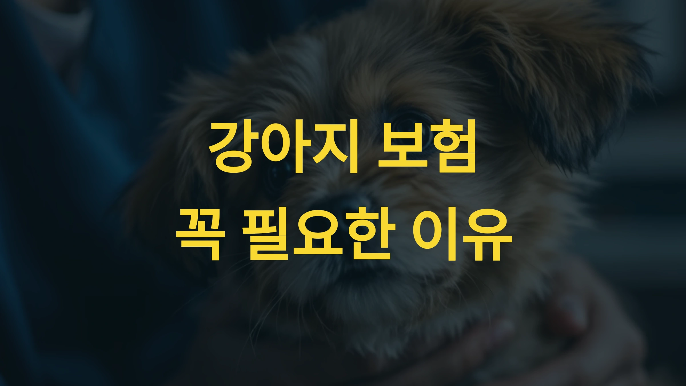 강아지 보험이 꼭 필요한 이유