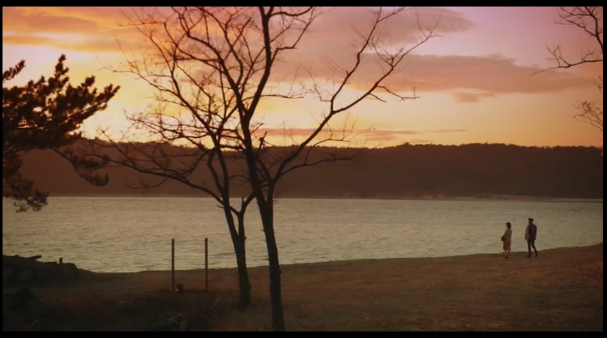 이상한 변호사 우영우 드라마 촬영지 (팽나무, 웨딩, 낙조, 제주도) 제주 돌고래 출몰지역 스팟