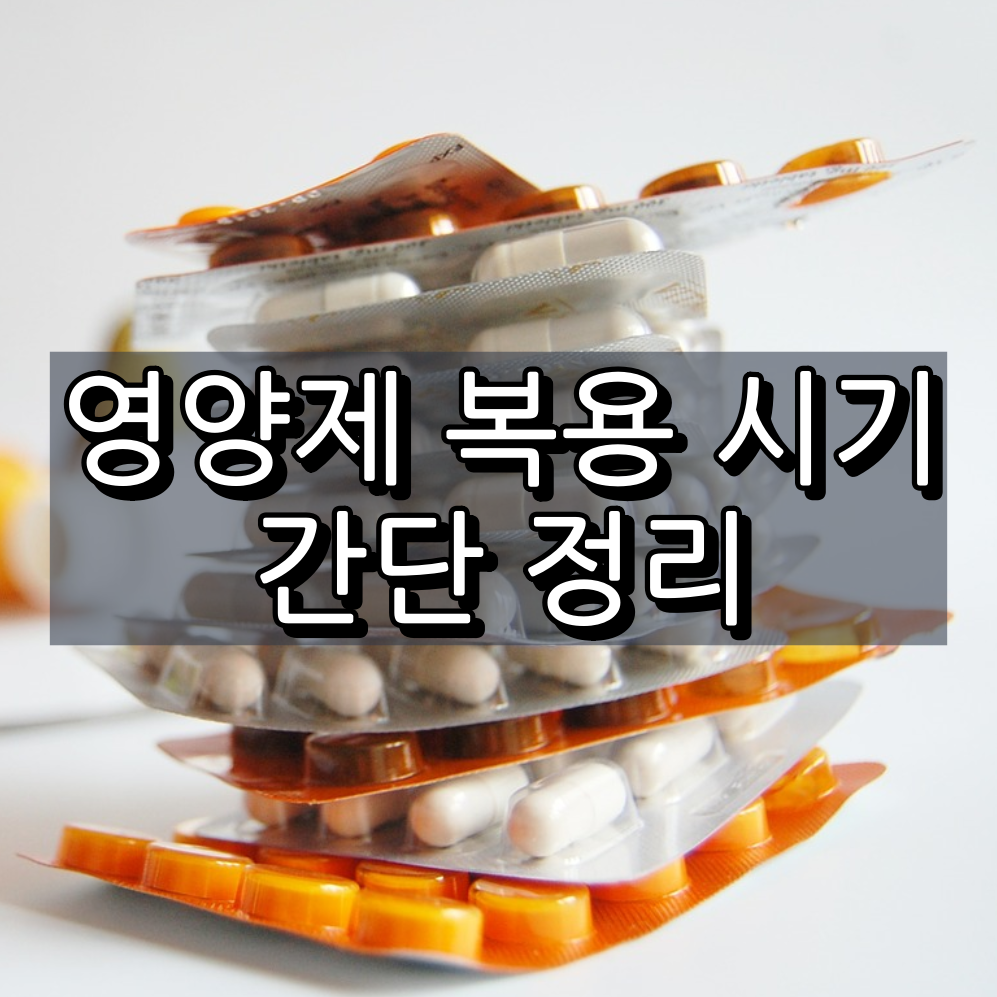 영양제 복용 시기