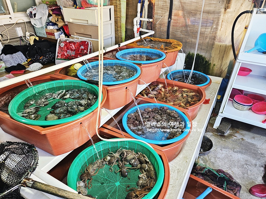 기장 대변항 해녀촌 파래장 해산물 모듬 전복죽 맛집