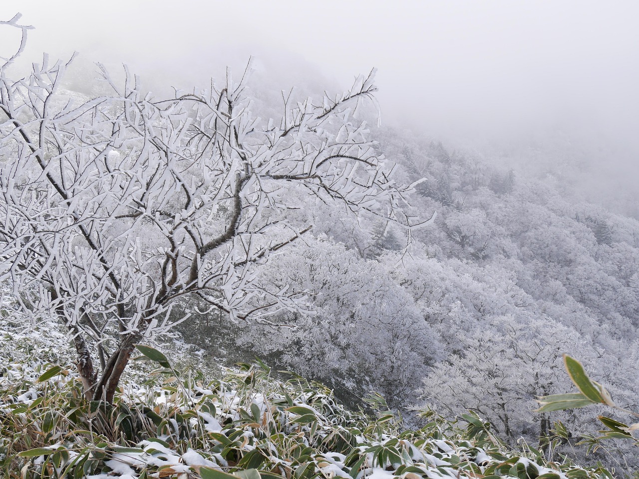 겨울철 한파가 인체에 미치는 기본 영향 구조