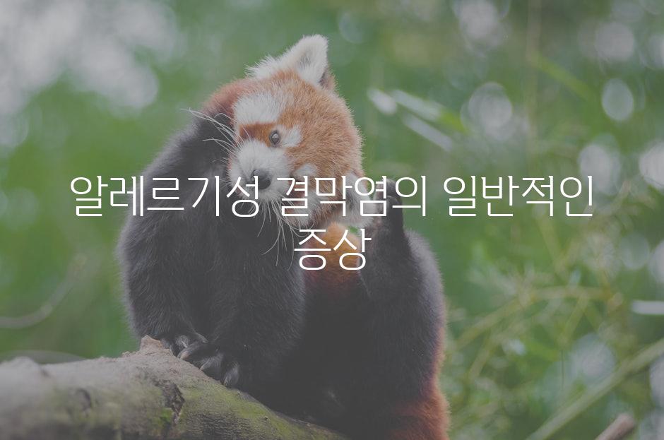 알레르기성 결막염의 일반적인 증상