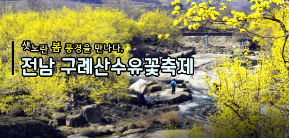 산수유꽃축제
