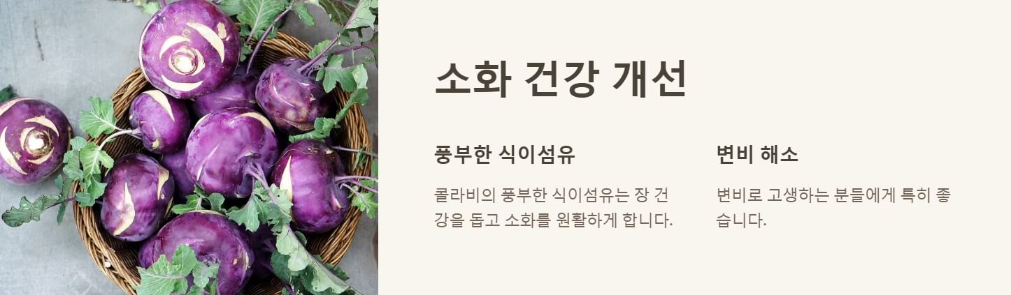 콜라비 효능 정말 놀라운 4가지