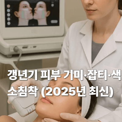 갱년기 피부 기미&middot;잡티&middot;색소침착 (2025년 최신)