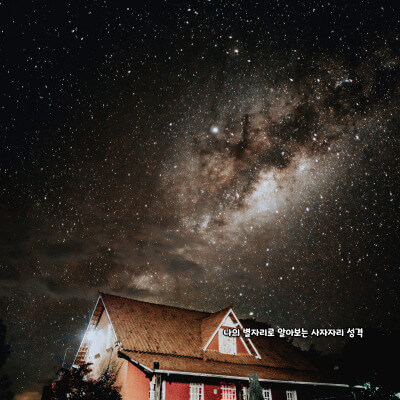 나의 별자리로 알아보는 사자자리 성격