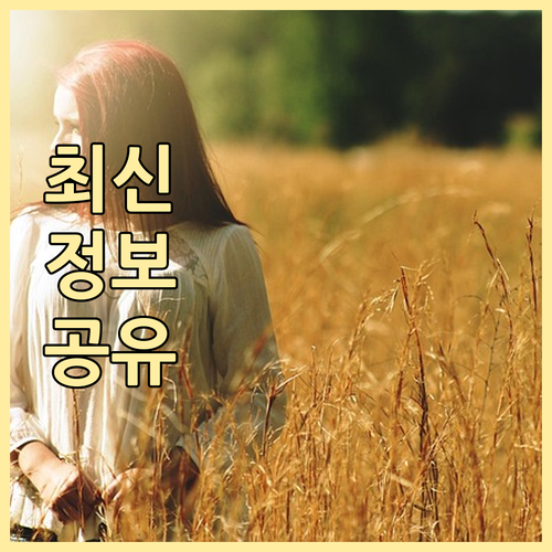 미국 ESTA 수수료 21달러로 변경..