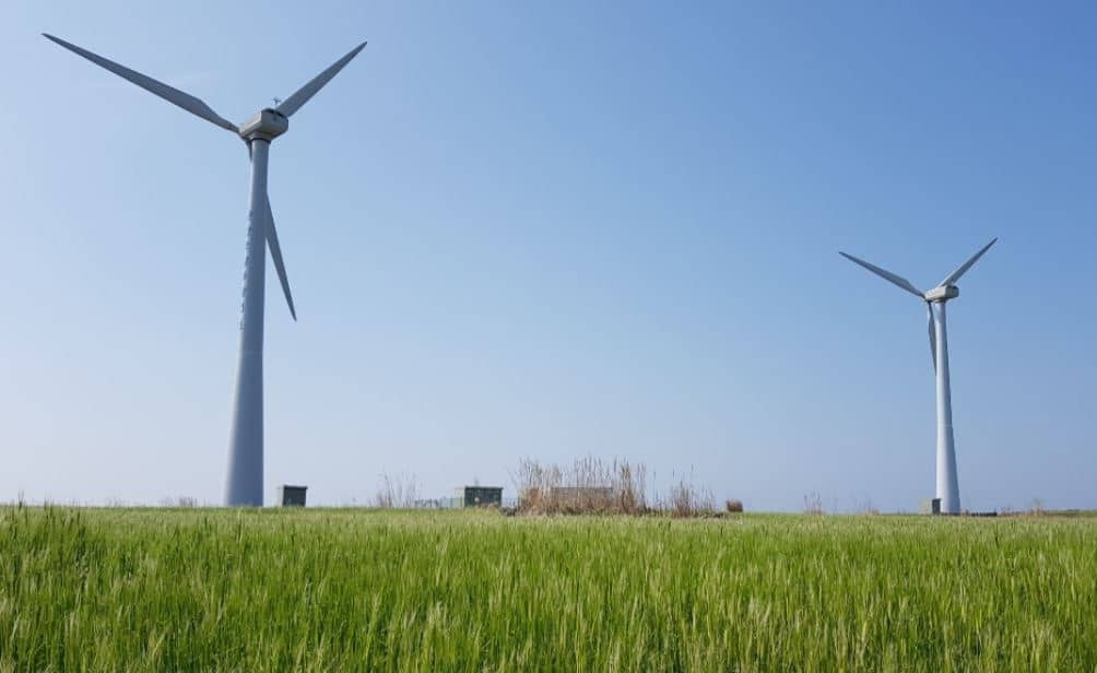 가파도 청보리 축제