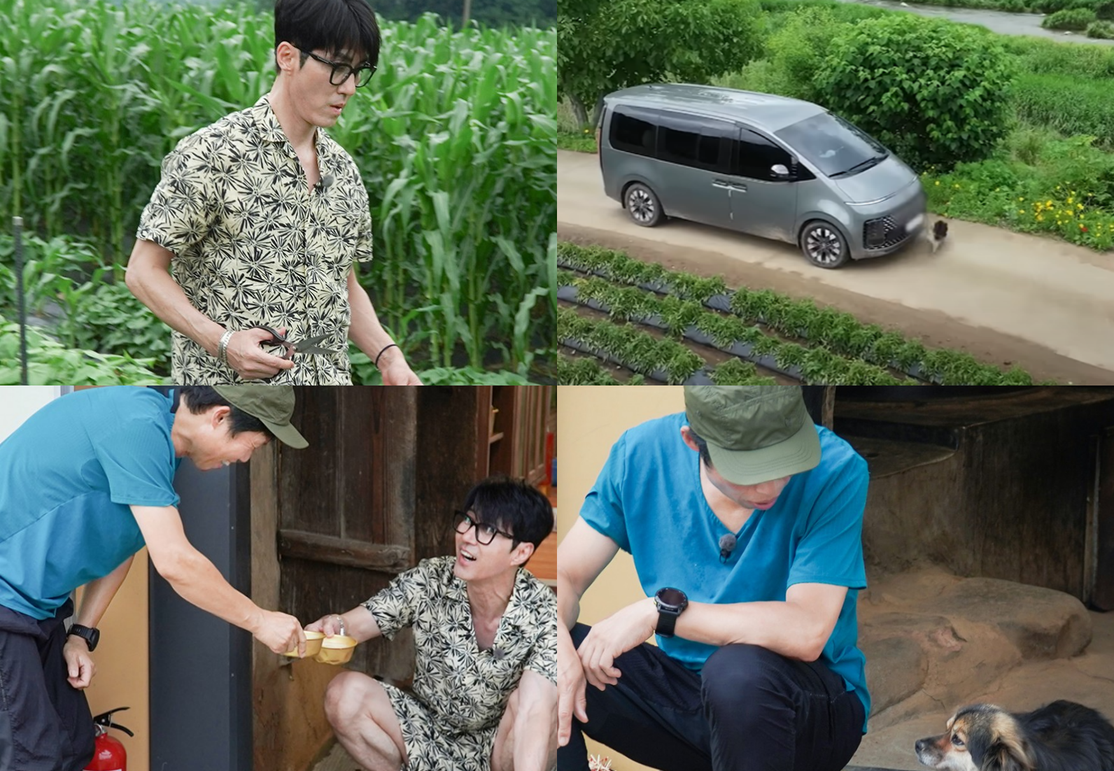 삼시세끼 라이트 촬영지