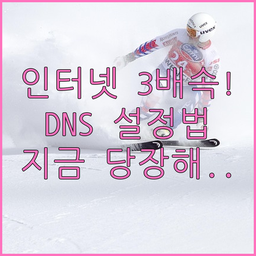 느려진 인터넷 속도 개선하는 DNS ..