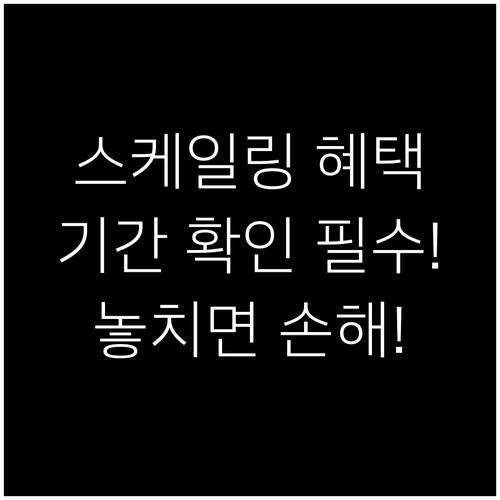 올해 스케일링 보험 썼을까? 혜택 기..