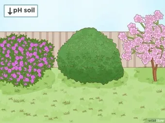 토양 pH 관리 산도 측정 교정 석회 시비 가용성 개선_22