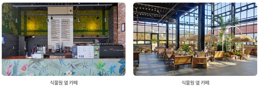 거제 식물원 카페