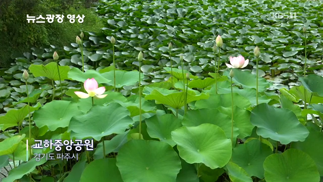 파주교하중앙공원