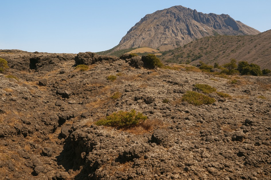 한라산 모세왓 관련 사진
